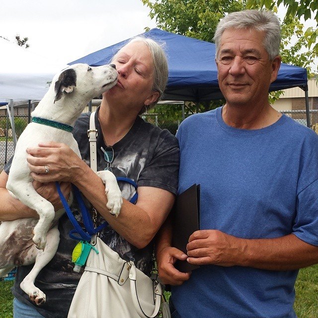 shelter dogs smiling adoption