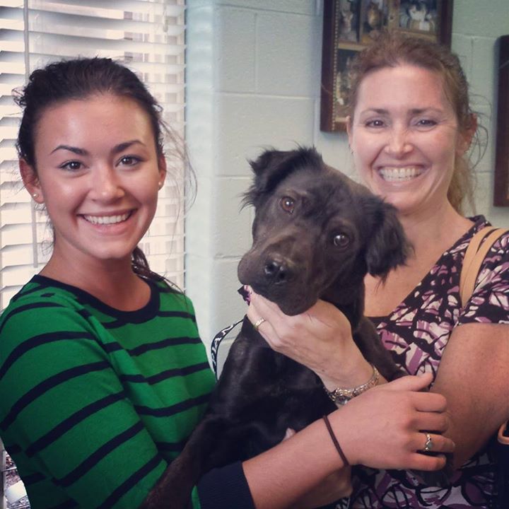 shelter dogs smiling adoption