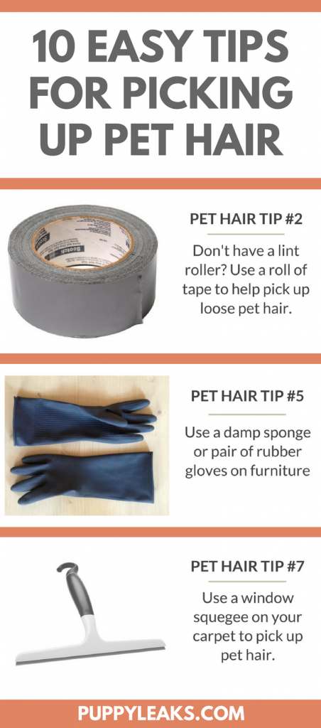 Does your dog's hair get everywhere? Looking for some easy ways to get rid of all that pet fur in your home? From using rubber gloves on furniture to using tape to pick off pet hair from your clothes, here's 10 easy tips for cleaning up dog hair. 10 Tips for Cleaning Up Pet Hair