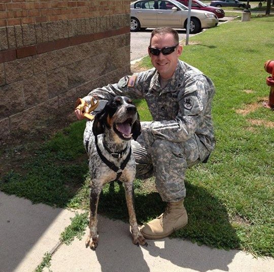 shelter dogs smiling