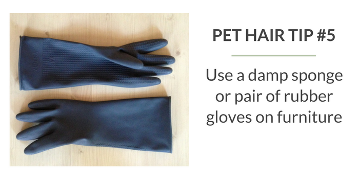 gloves for removing dog hair