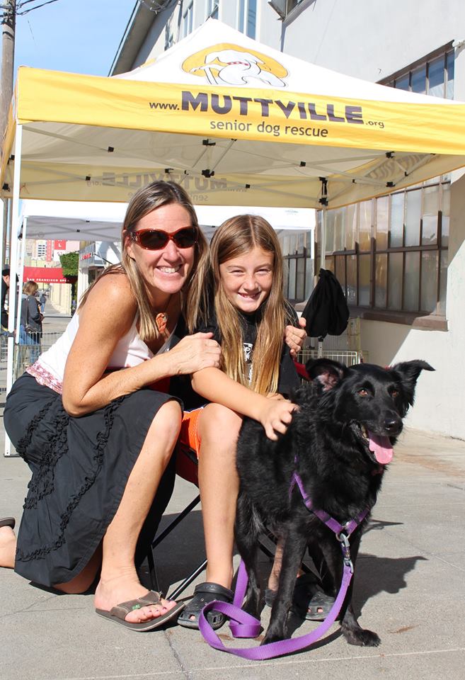 senior dogs smiling adopted