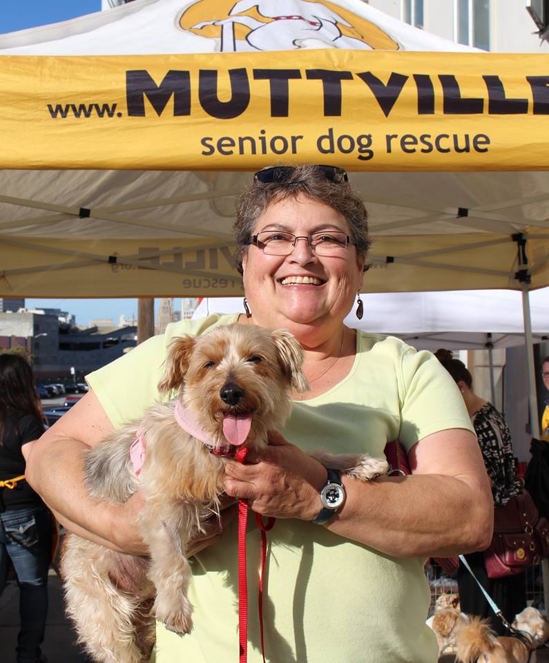 muttville senior dog rescue