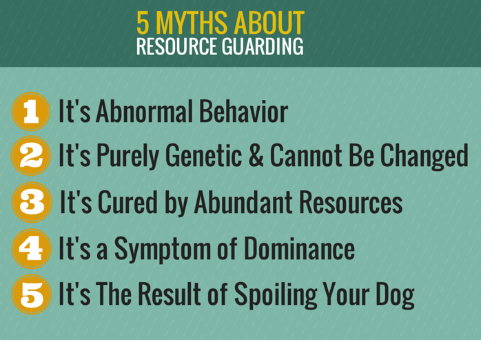 resource guarding in dogs