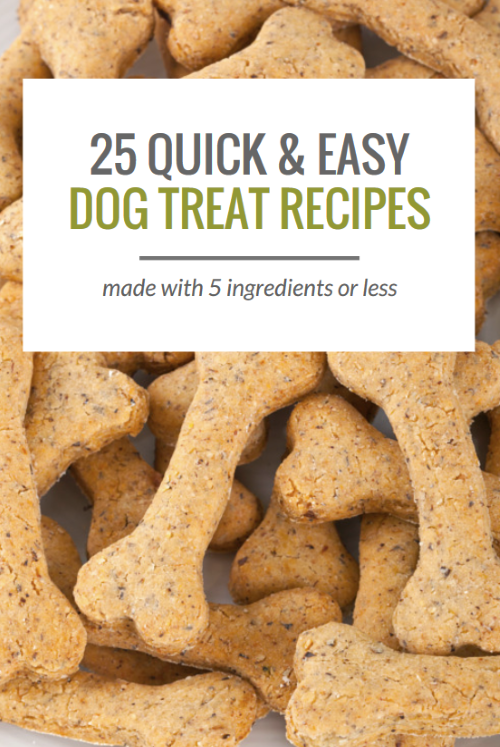 healthy dog treat recipes