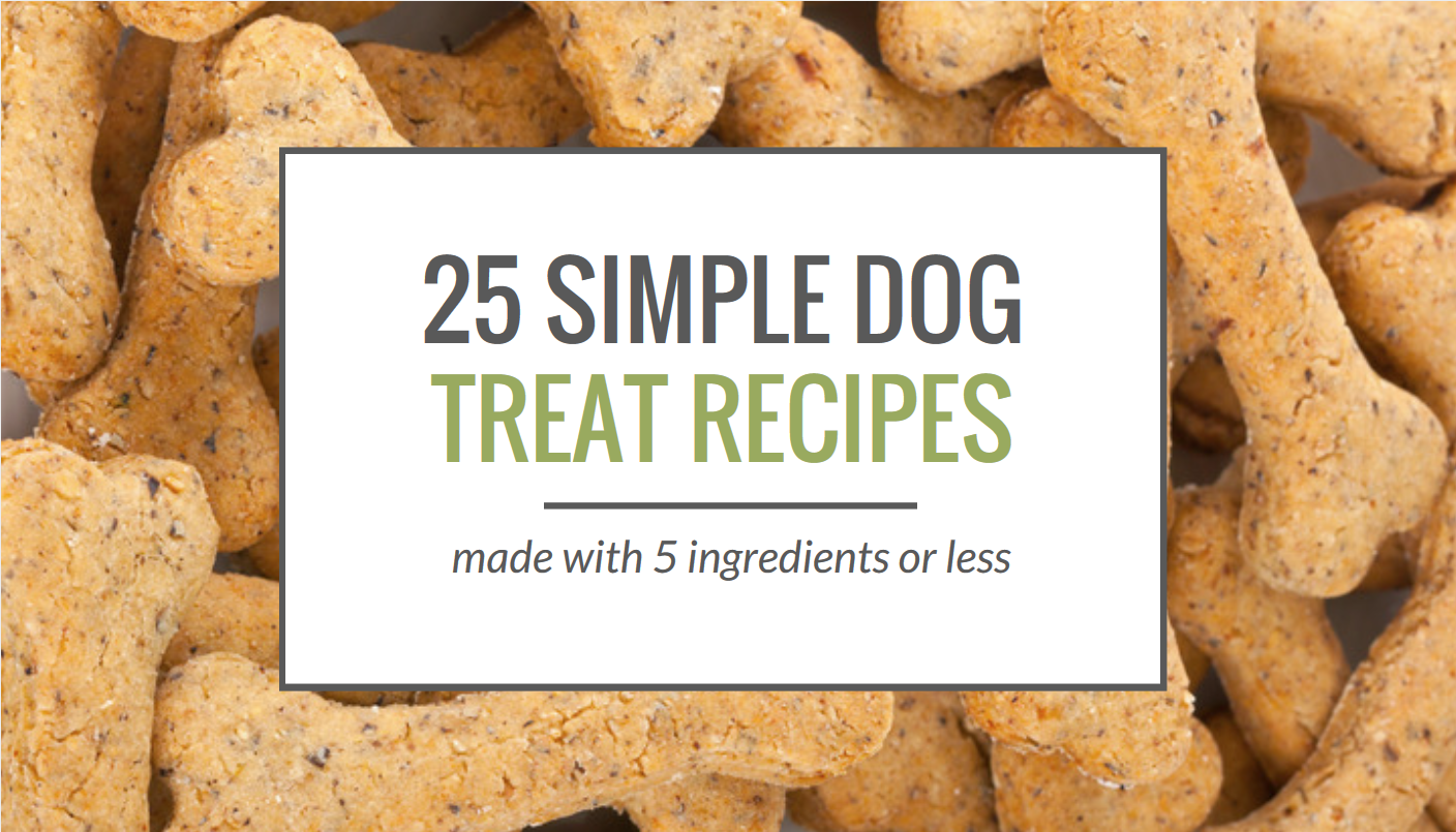 easy dog cookie recipes