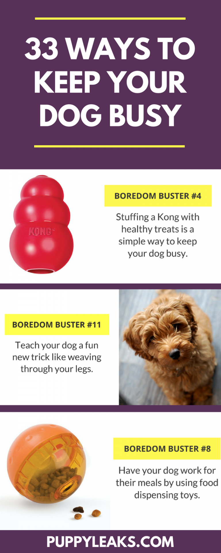 33 Simple Ways to Keep Your Dog Busy Indoors Puppy Leaks
