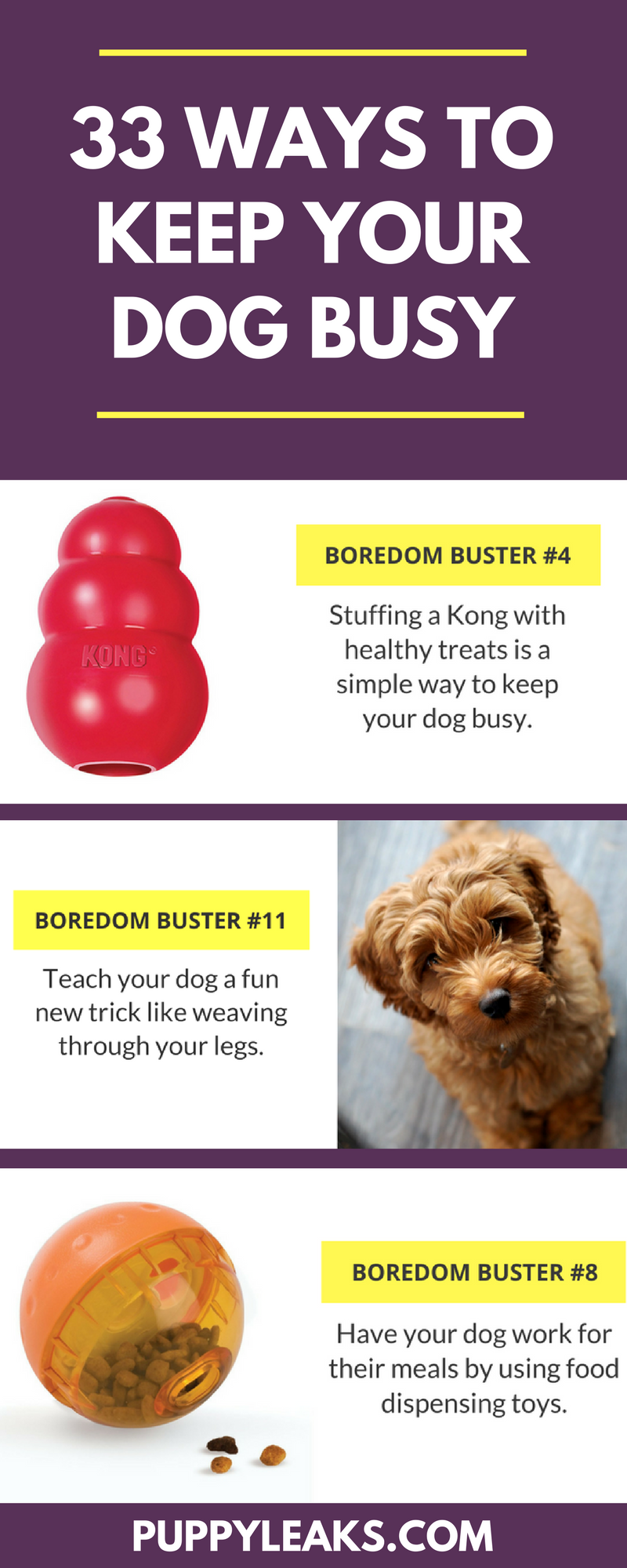 Home-alone boredom busters for dogs - keep them safe, busy & stimulated