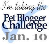 pet blogger challenge 2015