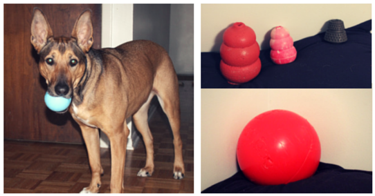 Jouets pour chiens indestructibles