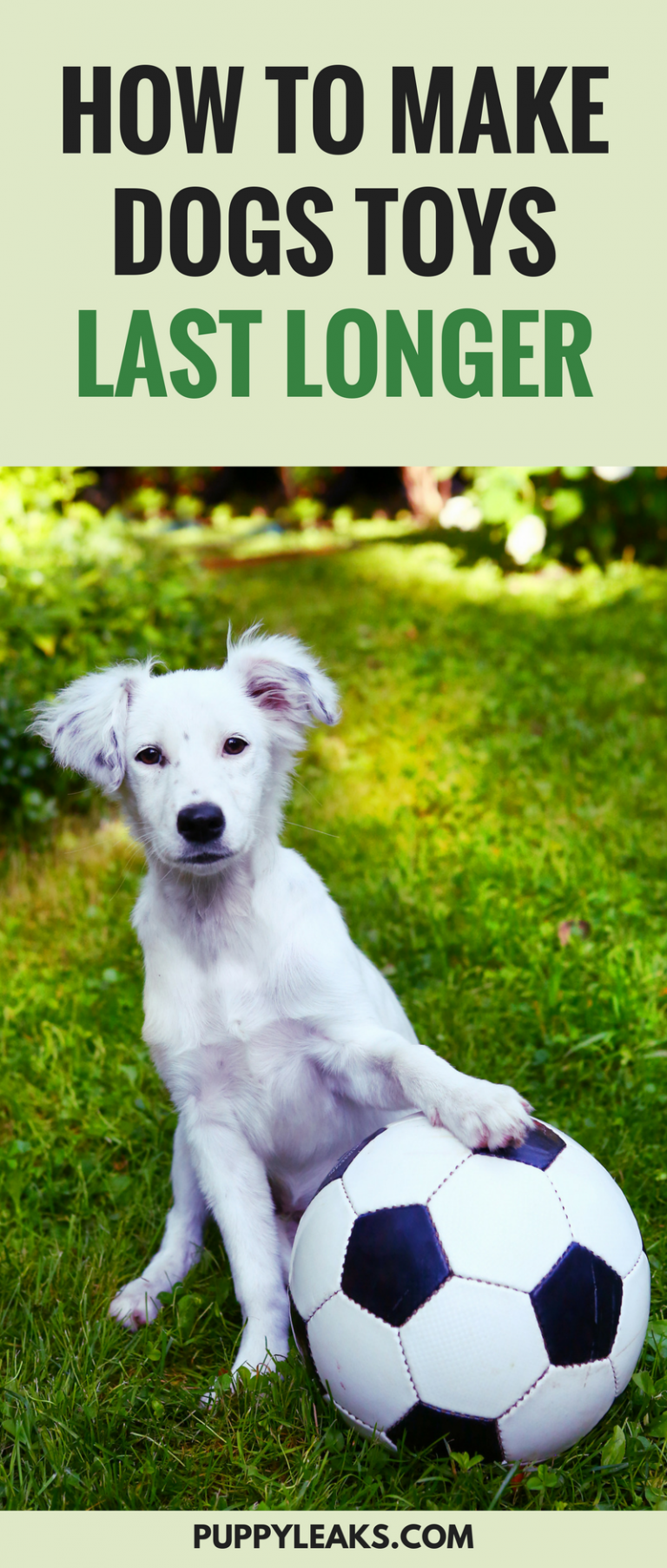 How to Make Your Dogs Toys Last Longer Puppy Leaks