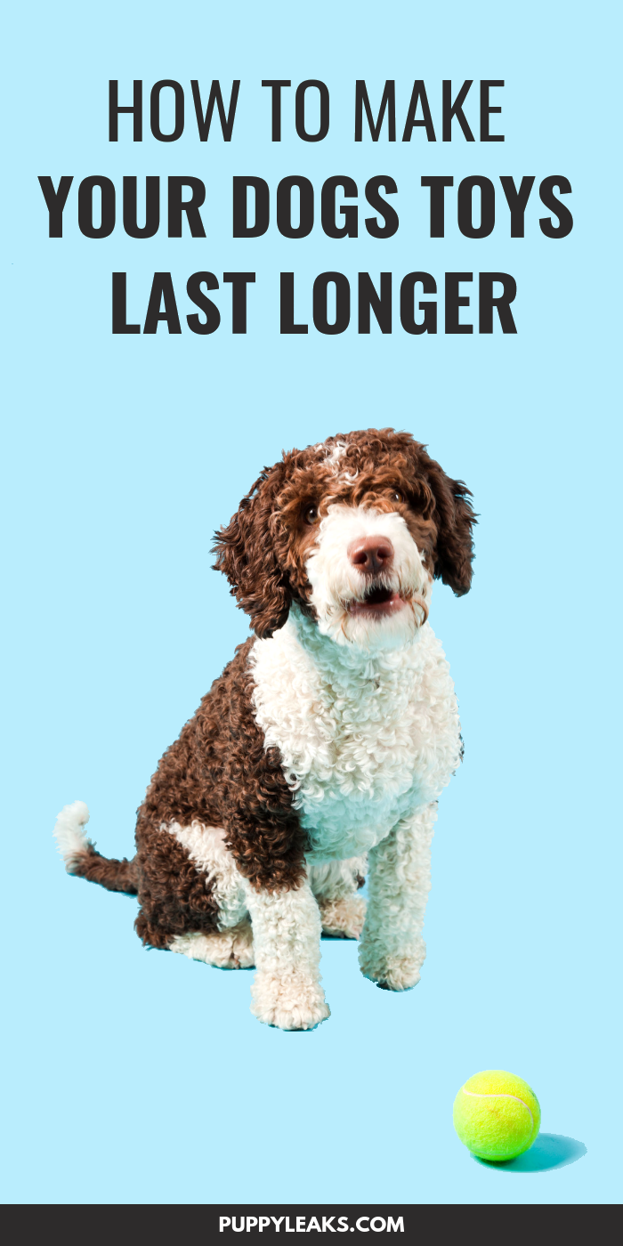 How to Make Your Dogs Toys Last Longer Puppy Leaks