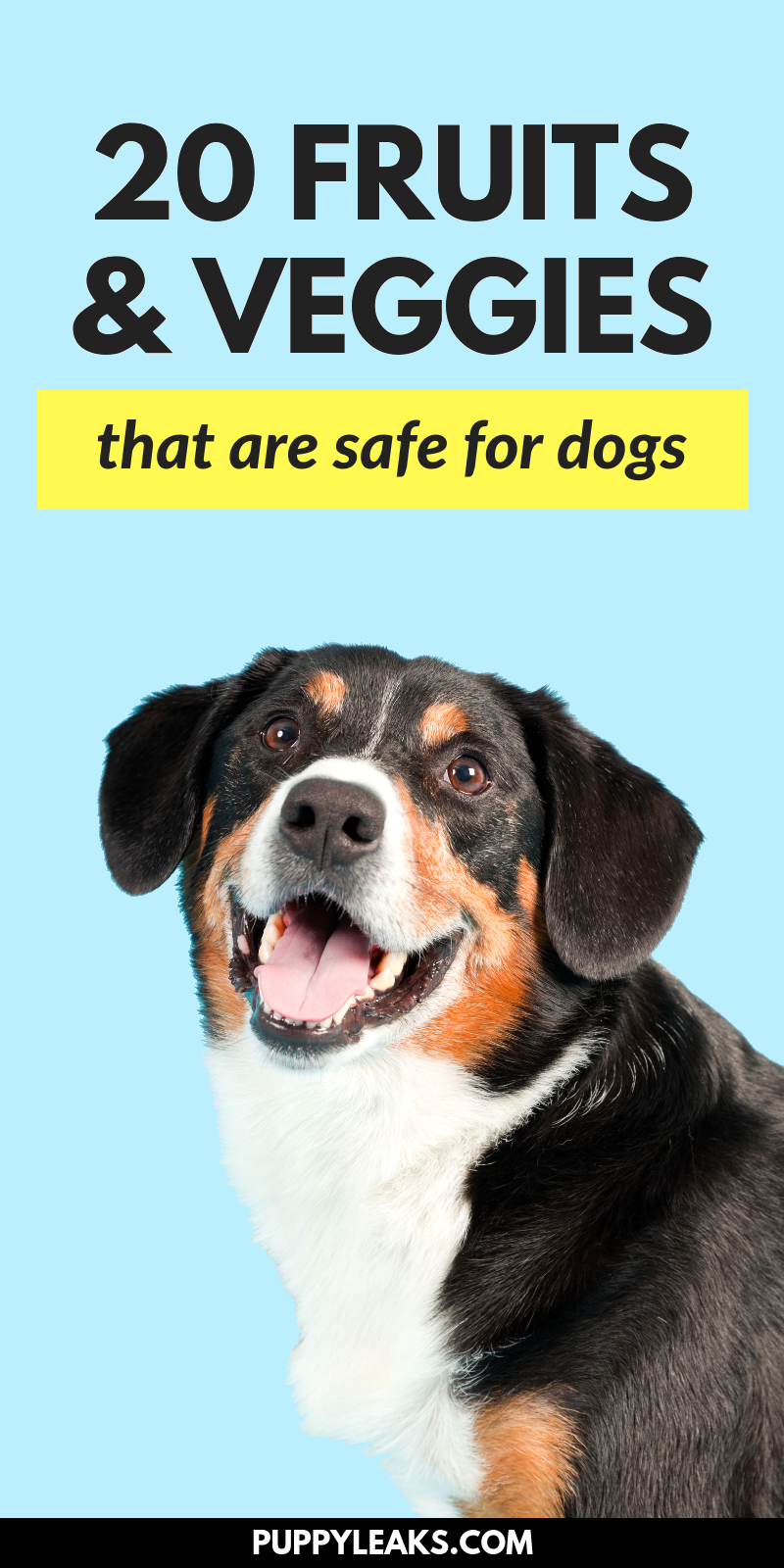 Looking for some healthy treats for your dog? Here's a list of 20 fruits & veggies that are safe for dogs. And since they're so low in fat & calories they make great training treats. 20 Fruits & Veggies That Are Good For Dogs