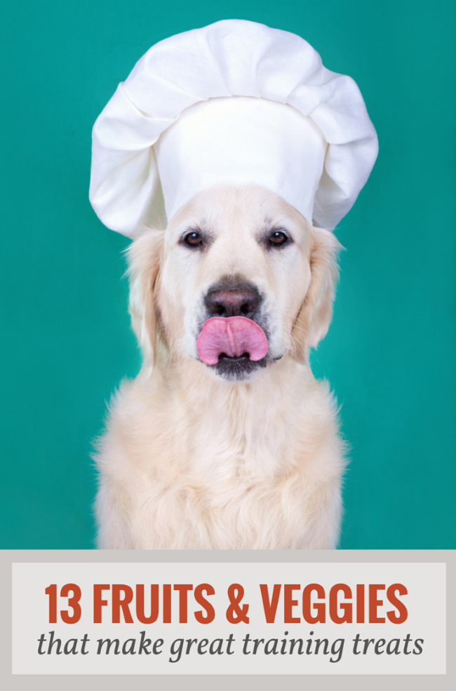 13 Fruits & Veggies that Make Great Treats For Your Dog