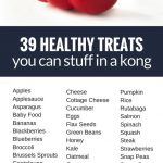 39 Healthy Treats to Stuff in a Kong