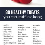 39 Dog-friendly KONG Stuffing Ideas - eDog Australia