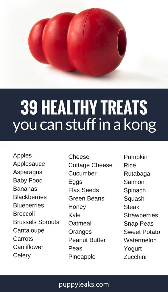 39 Healthy Treats to Stuff in a Kong.