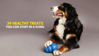39 Healthy Treats to Stuff in a Kong