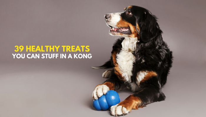 food to put in kong for puppy