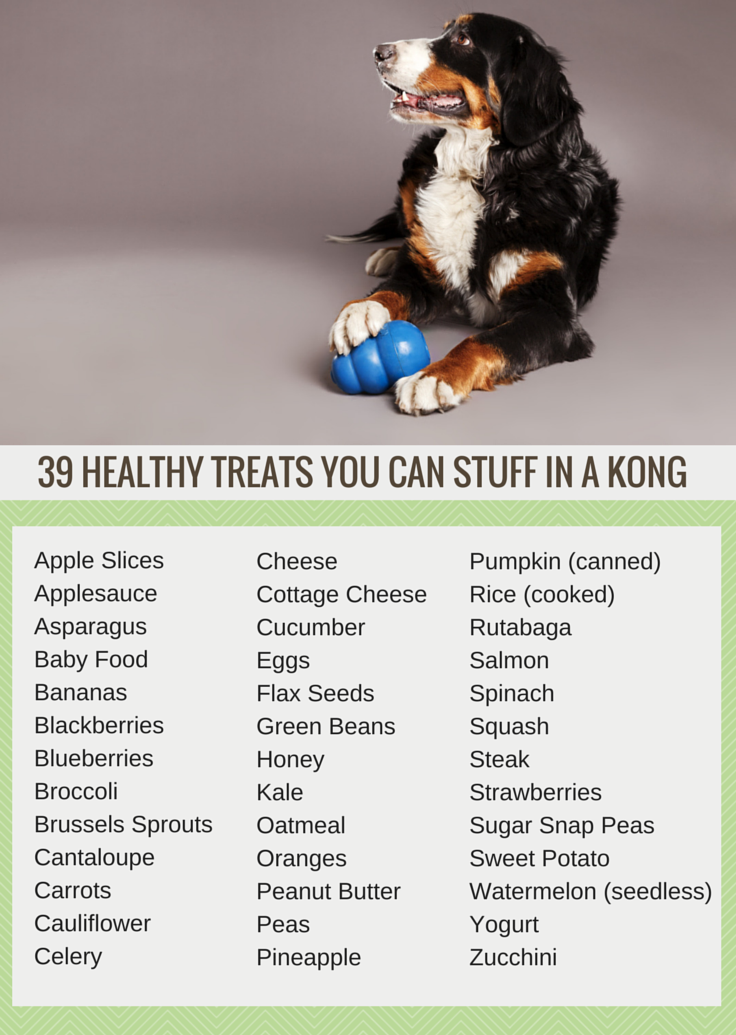 39 Healthy Treats You Can Stuff in a Kong - Puppy Leaks