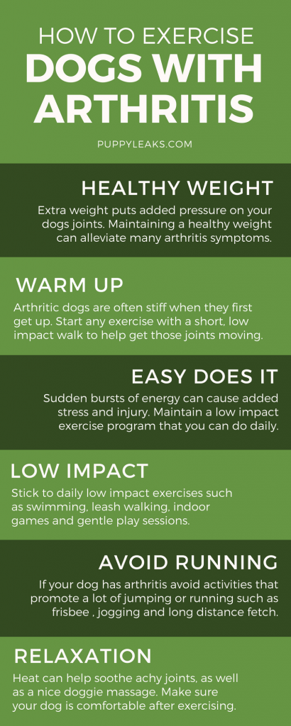 Exercising a dog with arthritis or other mobility issues can be tricky; too much activity can cause pain, and too little makes the condition worse. Here's some tips on how to exercise a dog with arthritis and how to find the right balance for your dog. How to Exercise a Dog With Arthritis. Exercising a dog with arthritis or other mobility issues can be tricky; too much exercise can cause pain, and too little can make the condition worse. Here's some basic tips on exercising a dog with arthritis and finding the right balance.