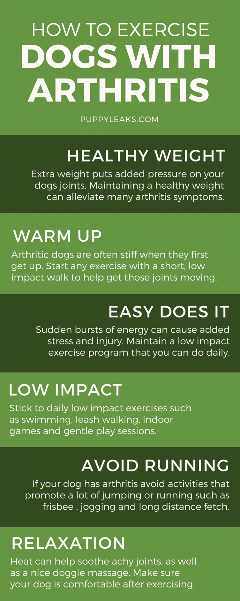How to Exercise a Dog With Arthritis Puppy Leaks