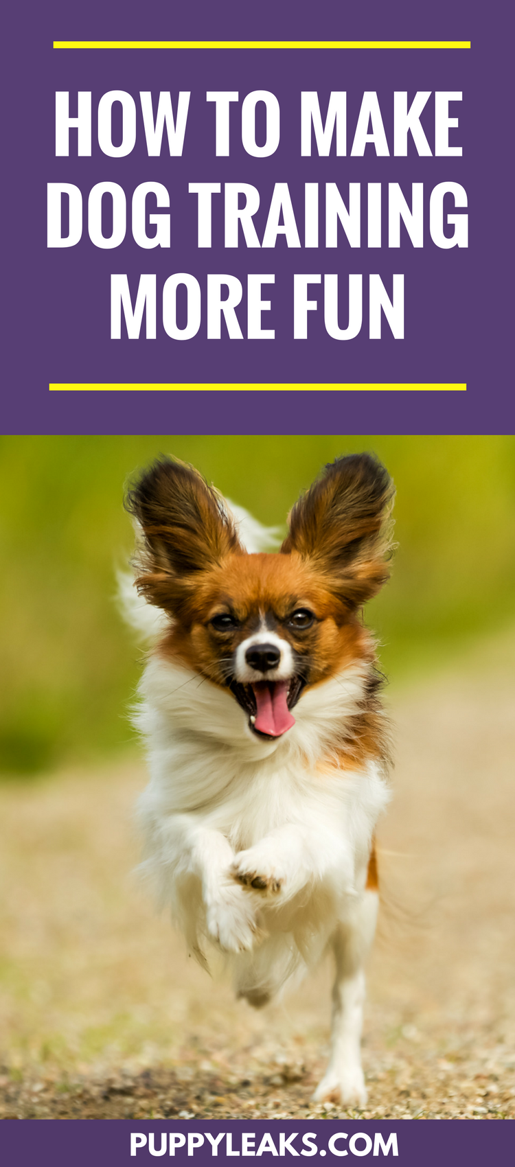 How to make dog training more fun. A few methods that will make training fun for your dog.