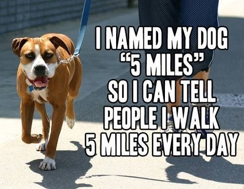 5 Ways to Motivate Yourself For a Dog Walk