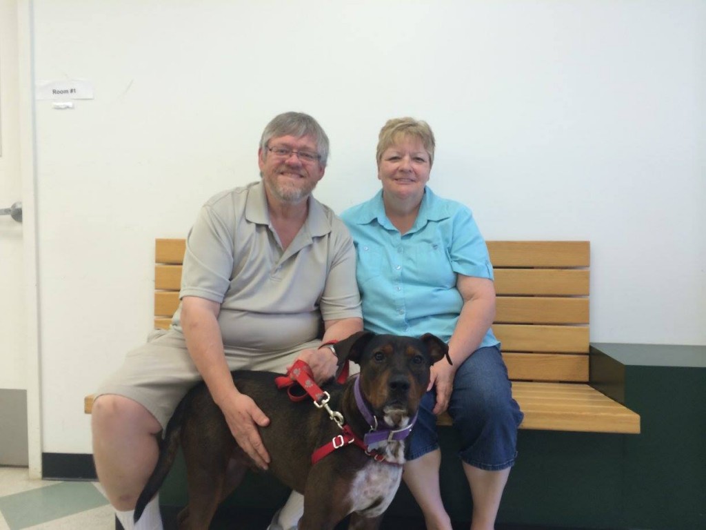 Shelter Dogs Adopted