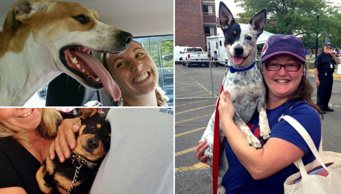 Shelter Dogs Smiling After Being Adopted