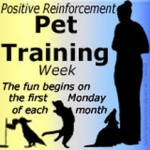 positivetraining