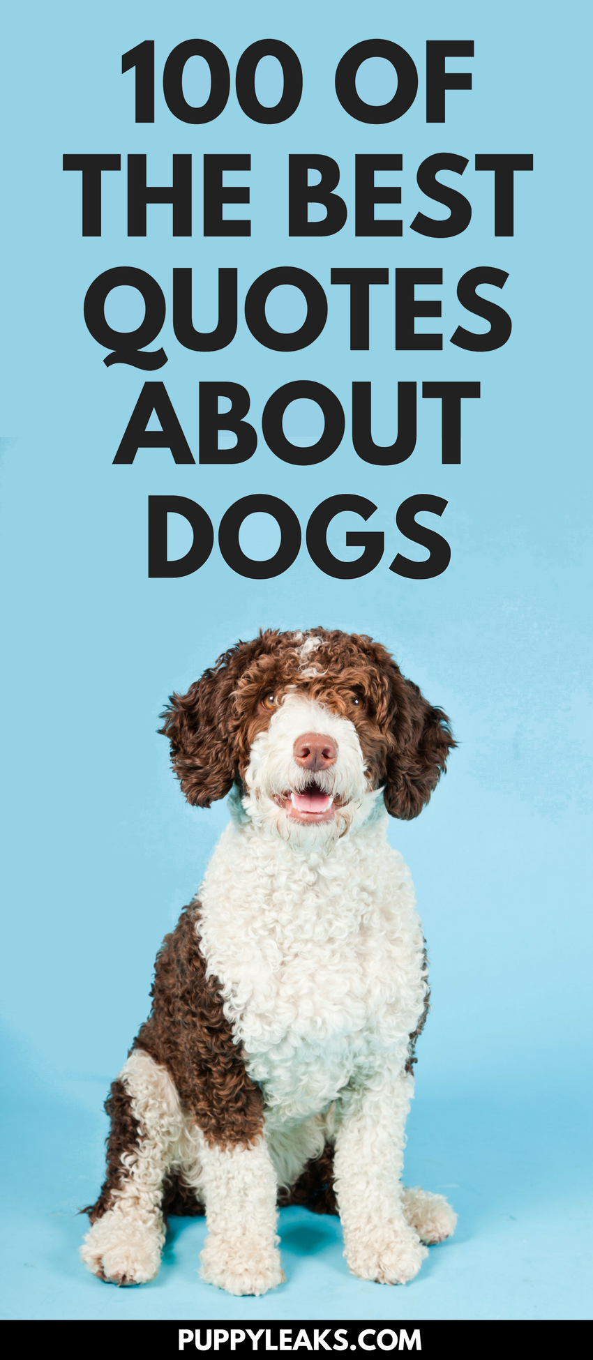 100 of the Best Dog Inspired Quotes Puppy Leaks