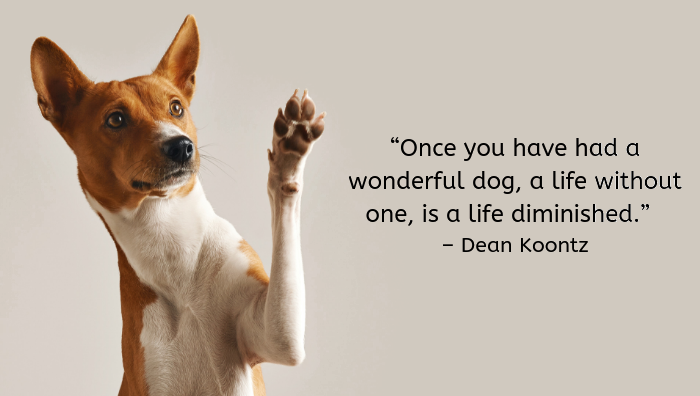 100 Of The Best Dog Inspired Quotes Puppy Leaks