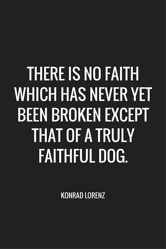 100 Of The Best Dog Inspired Quotes