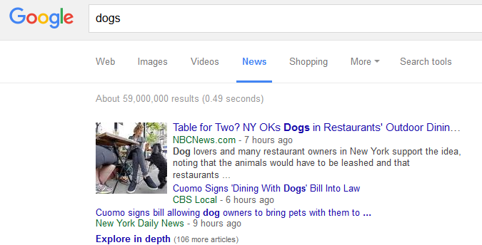 google dog news