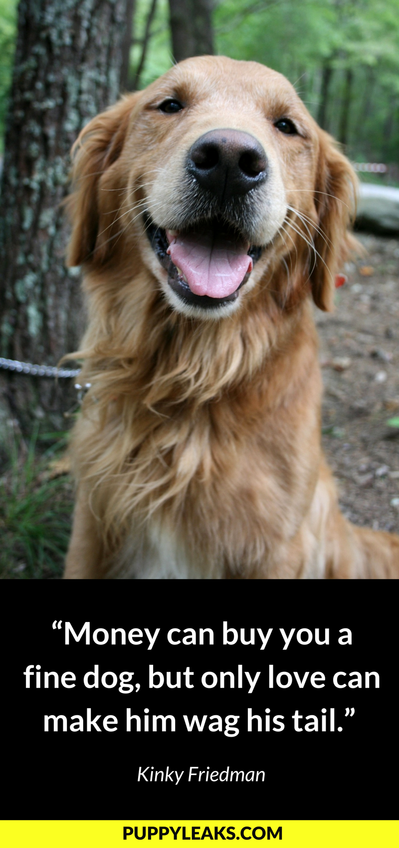 100 Of The Best Dog Quotes Puppy Leaks best-dog-quotes-quotesgram