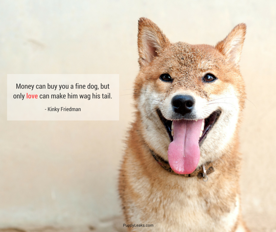 Favorite Dog Quotes