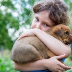 Study Finds Dogs May Help Prevent Diabetes In Children