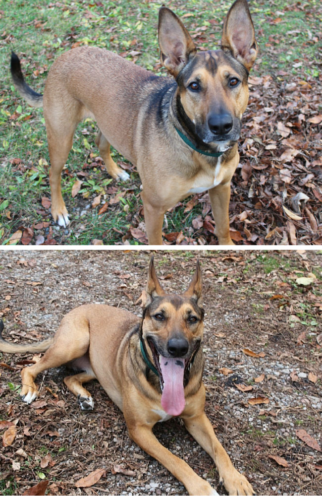 Before & After Chasing Bubbles