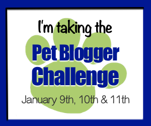 Pet Blogger Challenge 2016 via GoPetFriendly