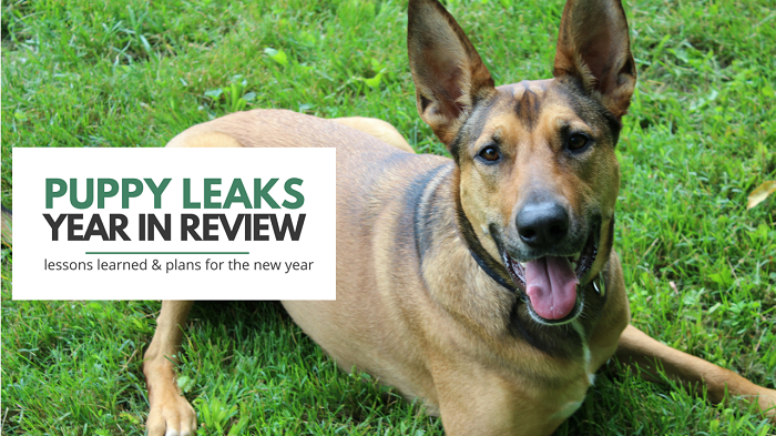 Puppy Leaks - A Year in Review