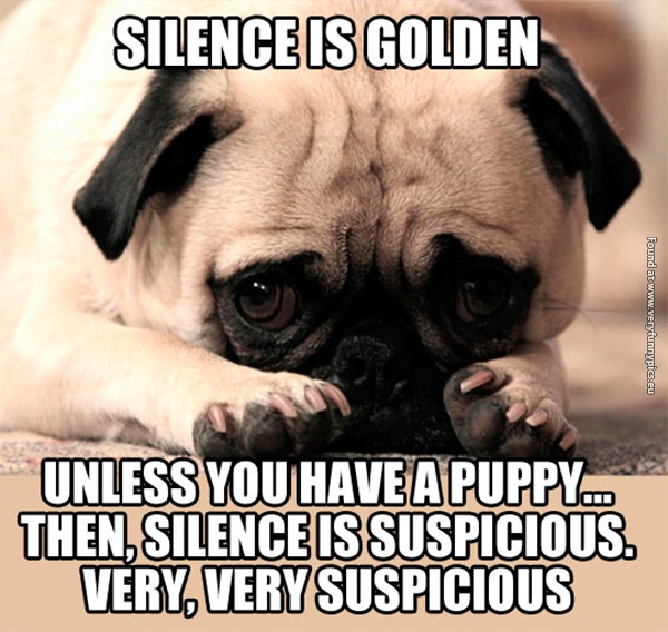 Silence is Golden, Unless You Have a Puppy