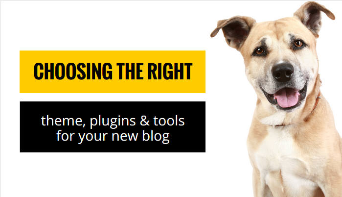 Choosing the Right Theme, Plugins & Tools for Your New Blog