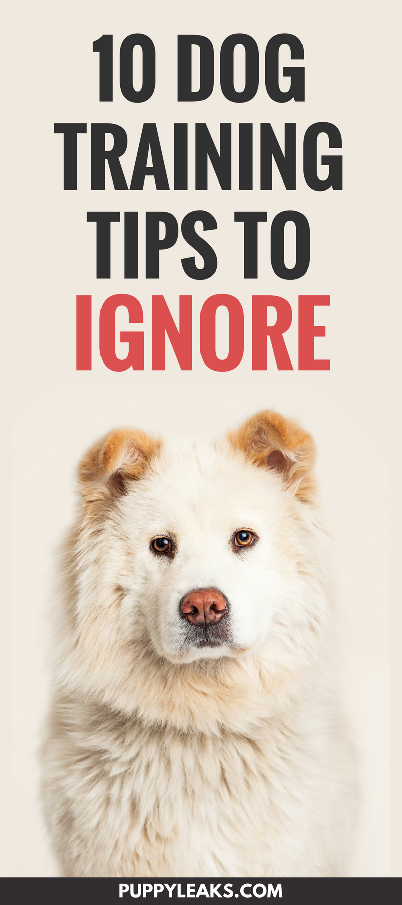 10 Dog Training Tips to Ignore