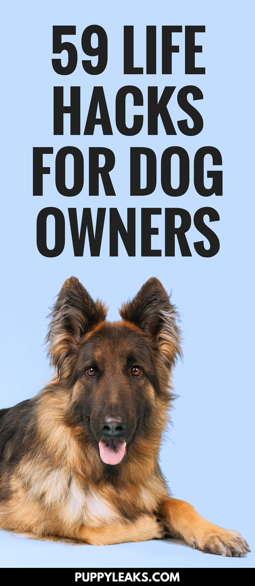 Here's 59 simple life hacks for dog owners. From cleaning up dog hair with rubber gloves to making your own dog bed out of an old sweatshirt & pillow, here's 59 life hacks all dog owners should know. #dogs #lifehacks #puppies #doglife #dogcare #dogtraining #doghealth