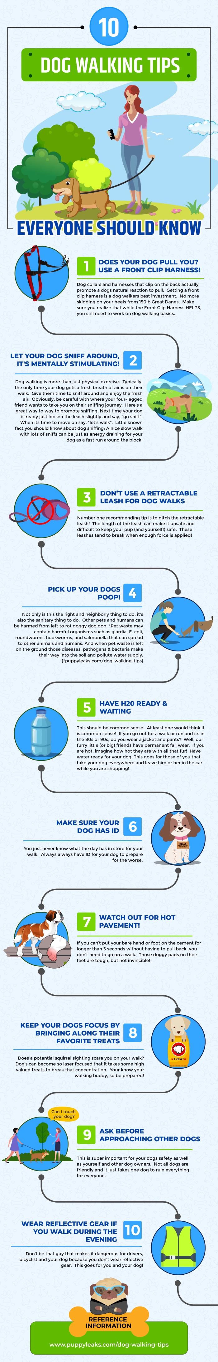 5 Dog Walking Tips Everyone Should Know  