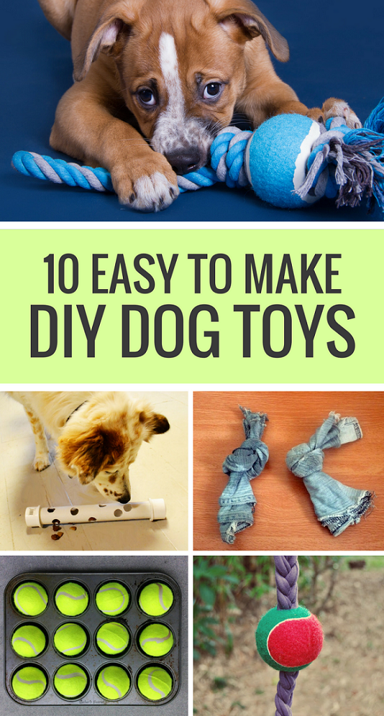 10 Easy To Make Diy Dog Toys Puppy Leaks