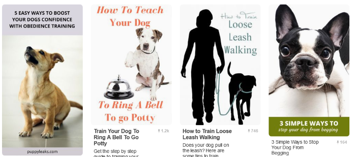 10 Great Boards for Dog Lovers to Follow