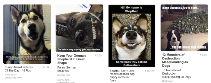 10 Great Pinterest Boards for Dog Lovers