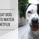7 Great Dog Documentaries to Watch on Netflix